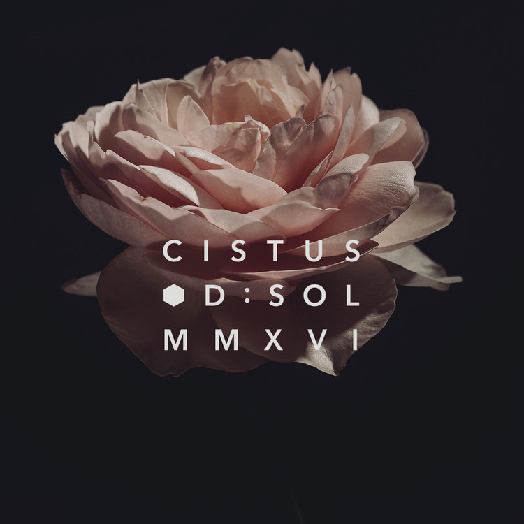 Cistus EDP