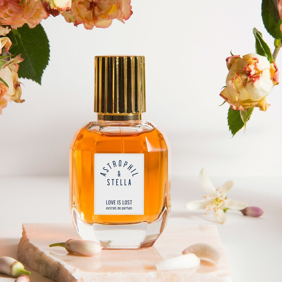 Love is Lost Extrait