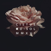 Cistus EDP