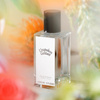 Unspoken Gesture EDP