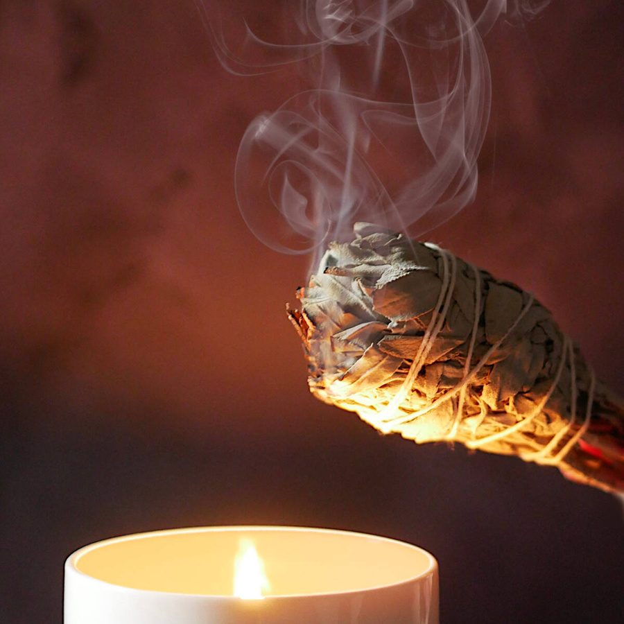 Biała szałwia (różdżka)