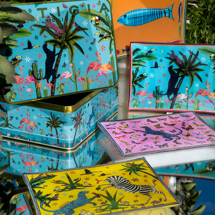 Zestaw 4 talerzyków w puszce Jungle