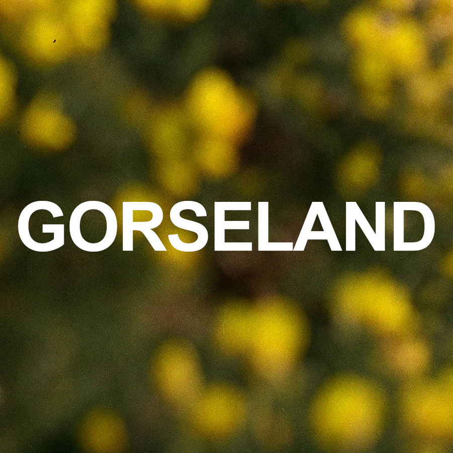 Gorseland Extrait