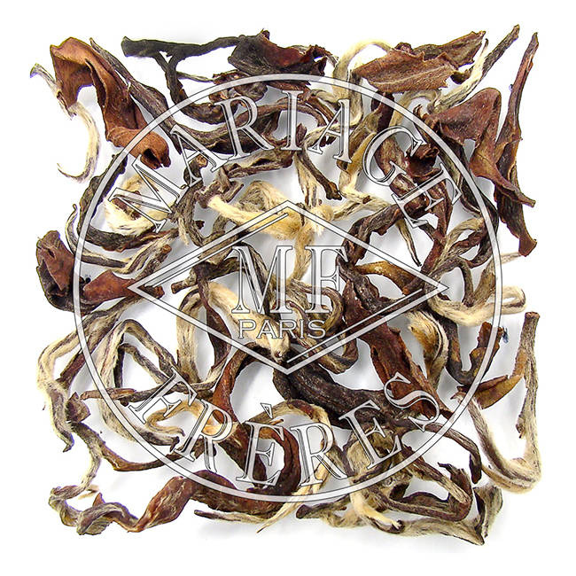 Blue Himalaya 50g (saszetka)