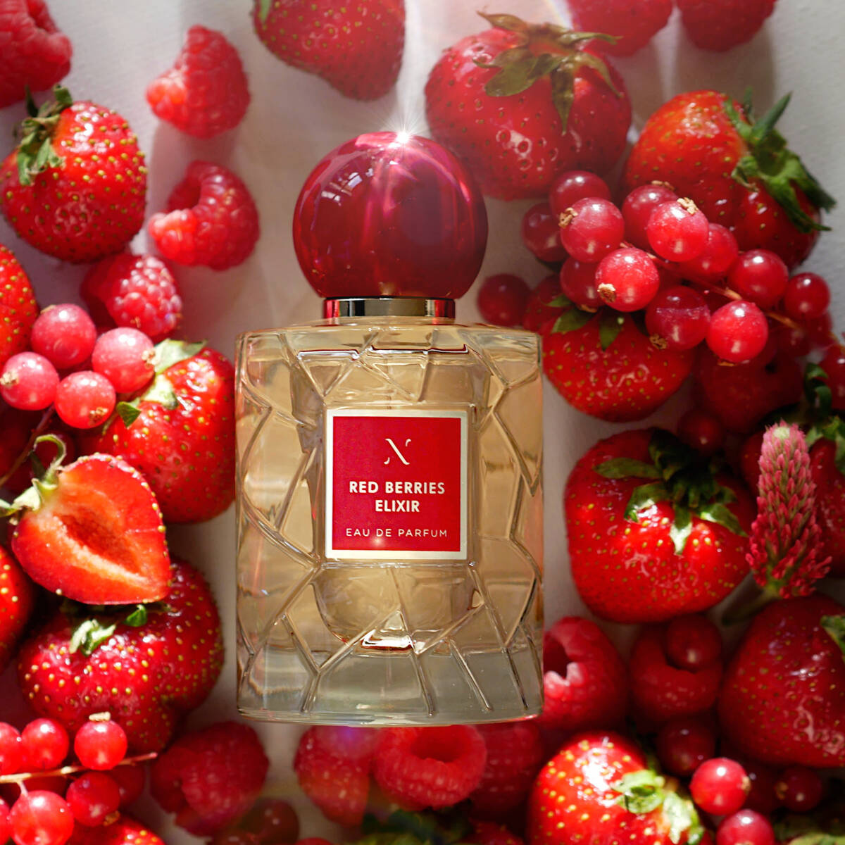 les soeurs de noe red berries elixir