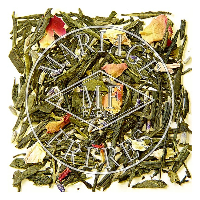 Vert Provence 100g (puszka)