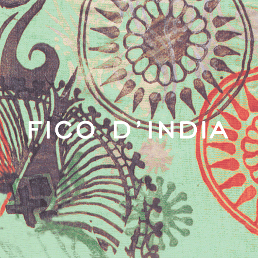 Fico d'India krem do rąk 80ml