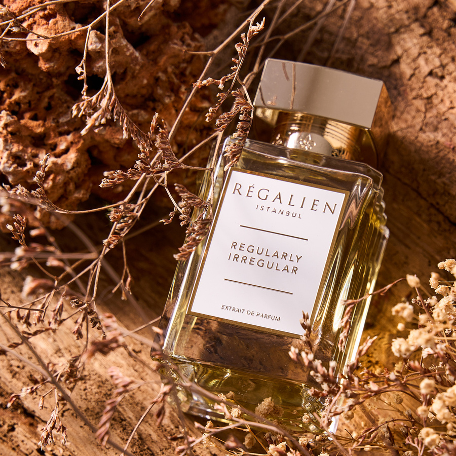 Regularly Irregular Extrait