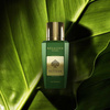 Spade of Vetiver Extrait