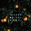 Tesoro EDP