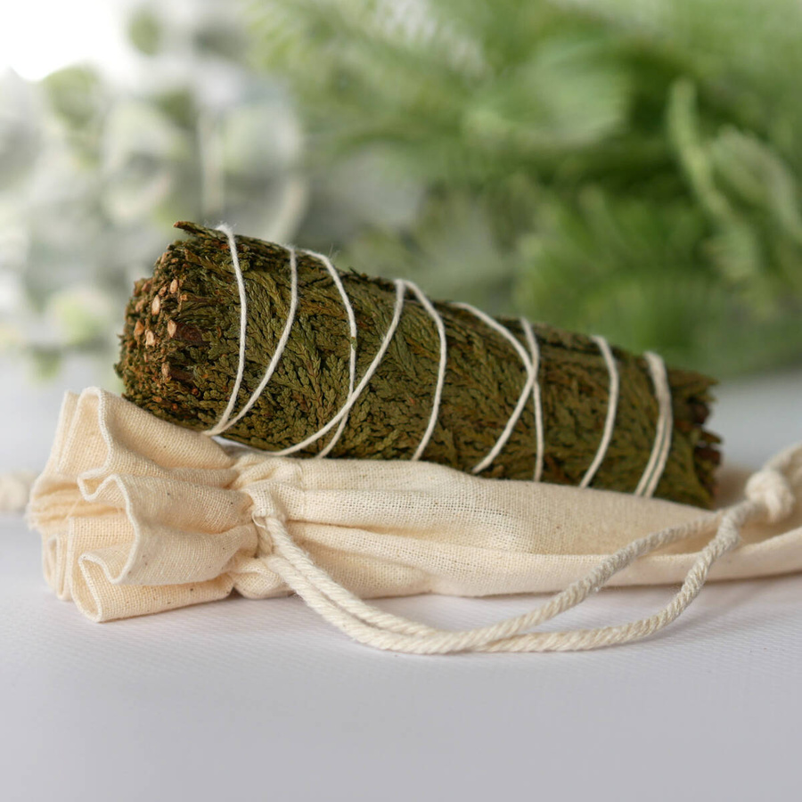 Cedrzyniec kalifornijski