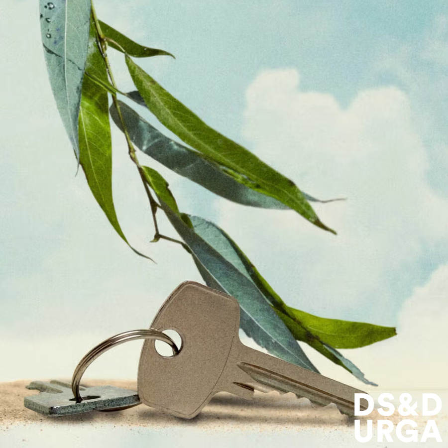 Big Sur Eucalyptus EDP