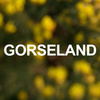 Gorseland Extrait