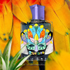 CoCoLoCo EDP