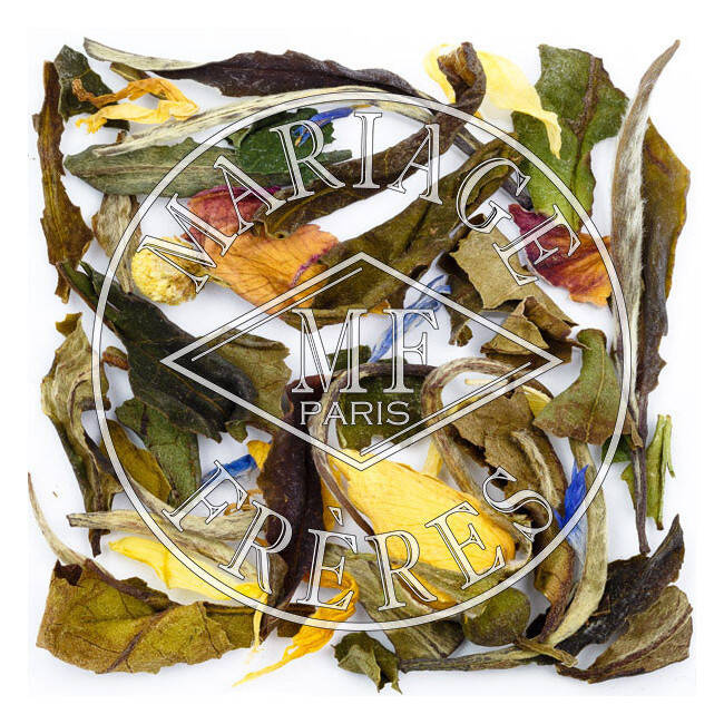 White Rhapsody 50g (puszka)