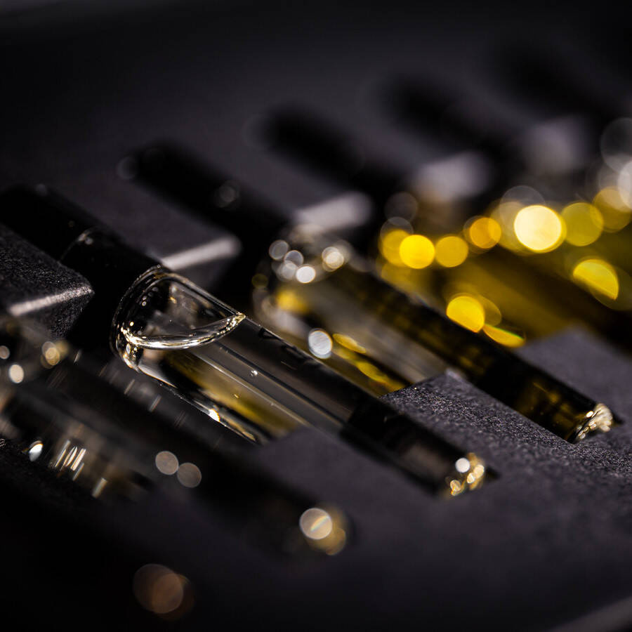 Kinetic Discovery Set