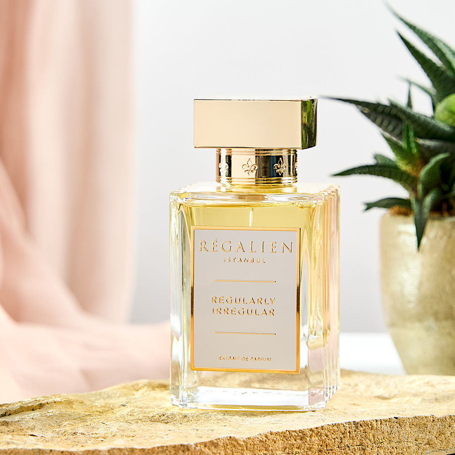 Regularly Irregular Extrait