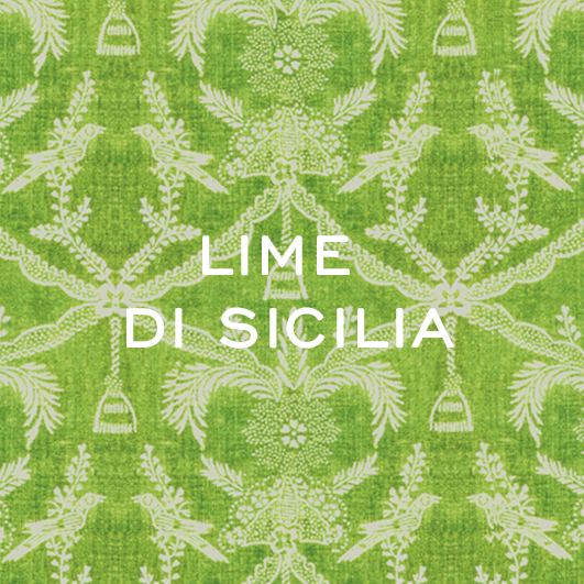 Lime żel pod prysznic 250ml